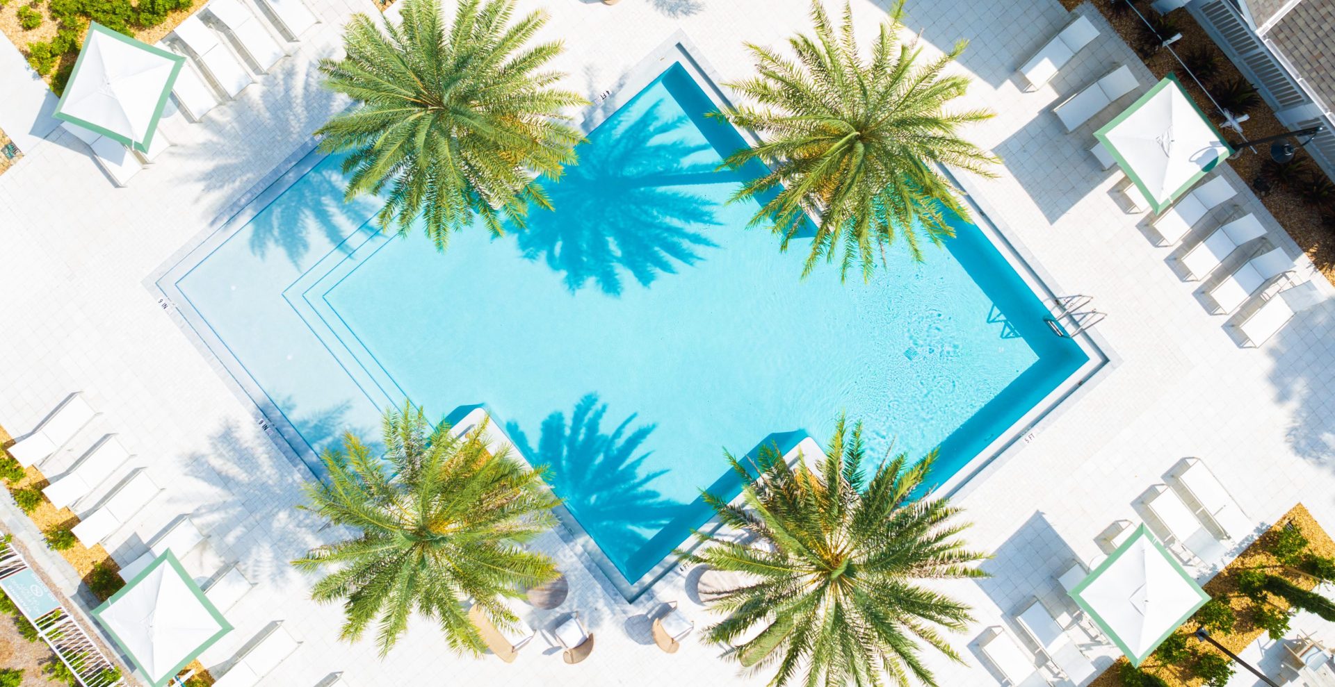 Aerial view of a resort-style swimming pool surrounded by palm trees