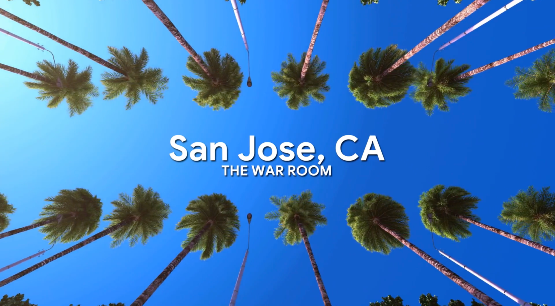 Low angle shot of tall palm trees against a bright blue sky with San Jose CA text overlay for a Google brand campaign by Redefined